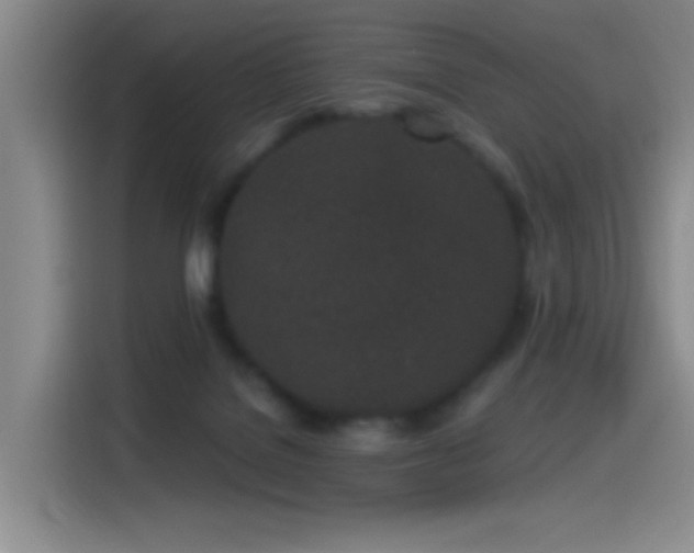 X0000115520076200911061426