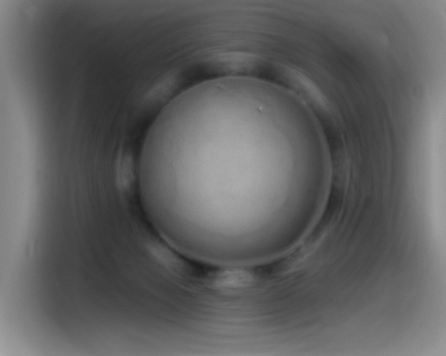 X0000115520077200911061426