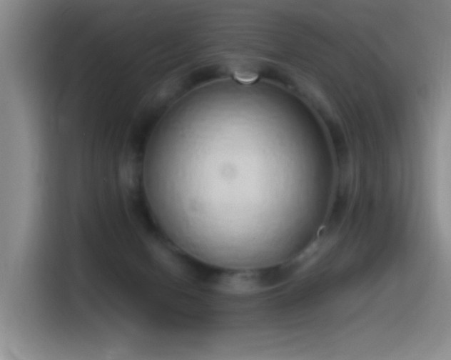 X0000115520078200911061426