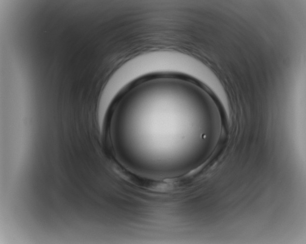X0000115520084200911061426