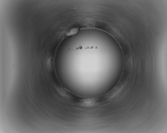 X0000115520088200911061426