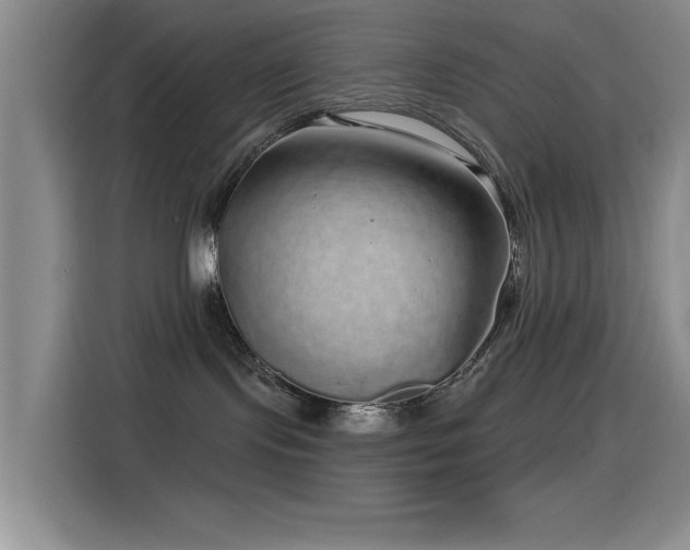 X0000115520095200911061426