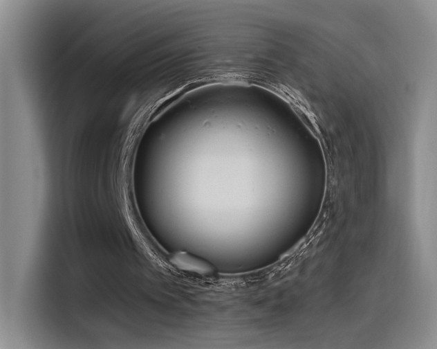 X0000115520097200911061425