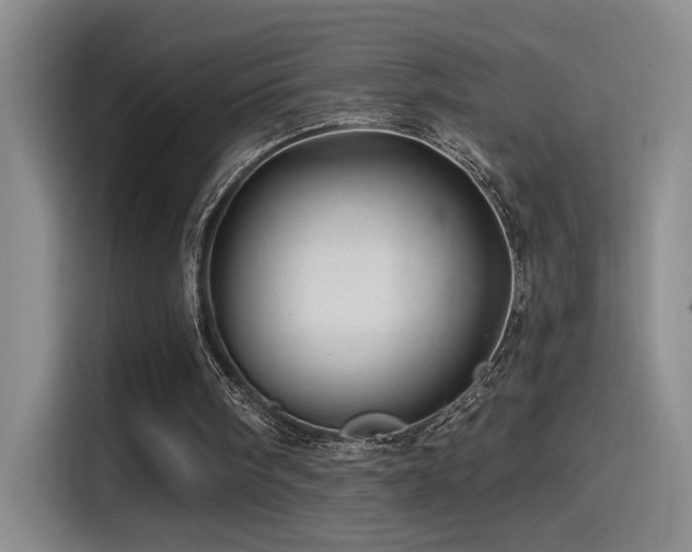 X0000115520098200911061425