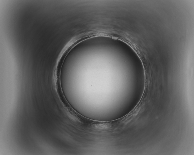 X0000115520102200911061425