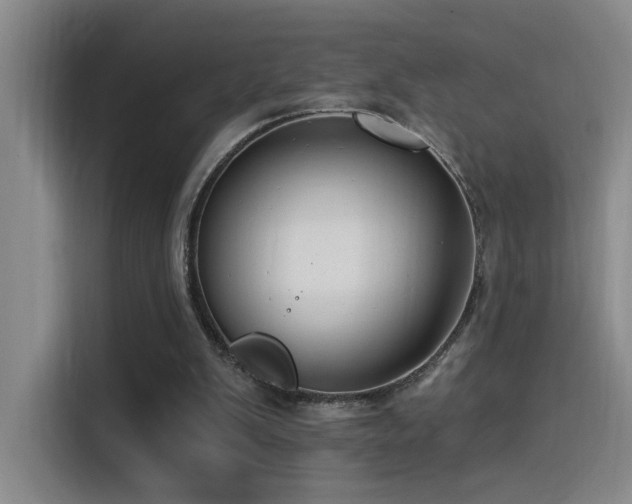 X0000115520103200911061425