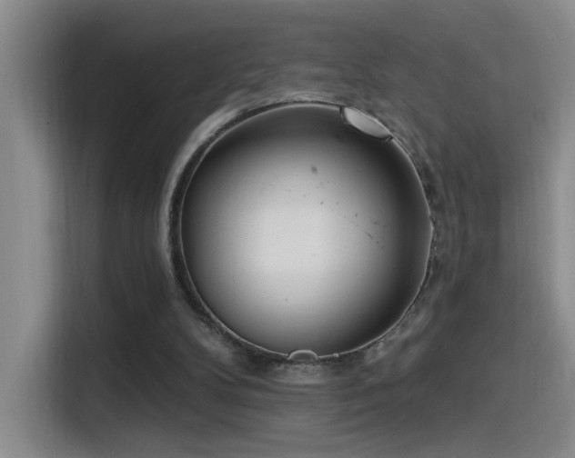 X0000115520104200911061425