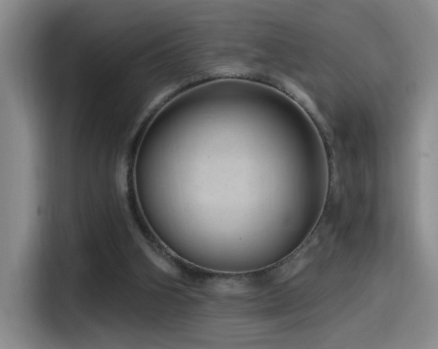 X0000115520106200911061425