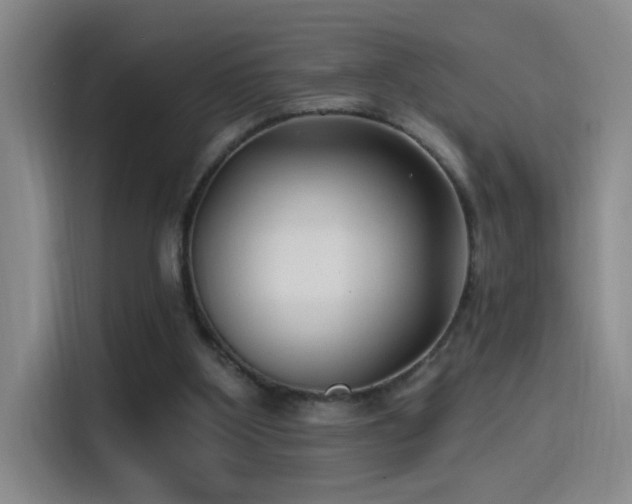X0000115520107200911061425