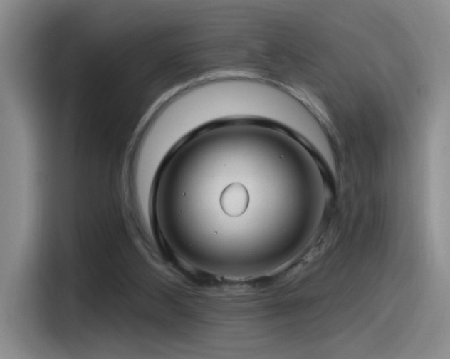X0000115520108200911061425