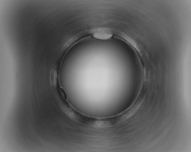 X0000115520109200911061425