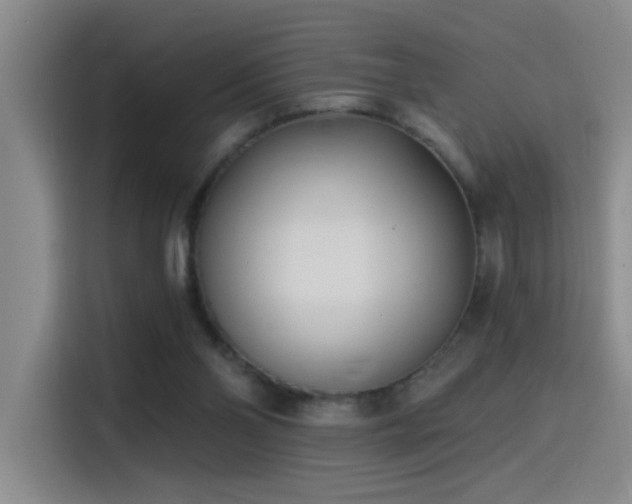 X0000115520110200911061425
