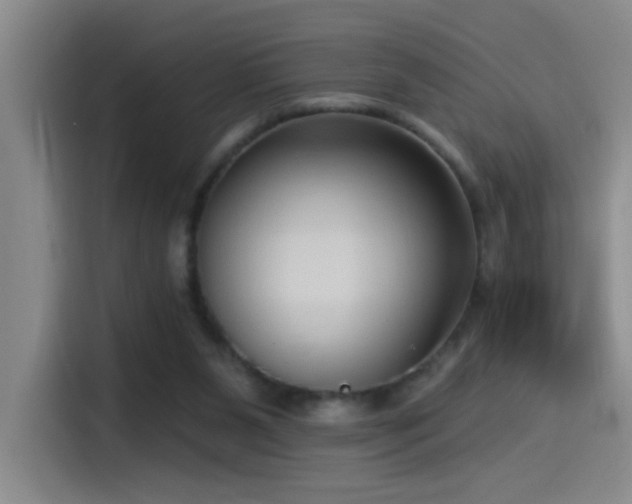 X0000115520111200911061425