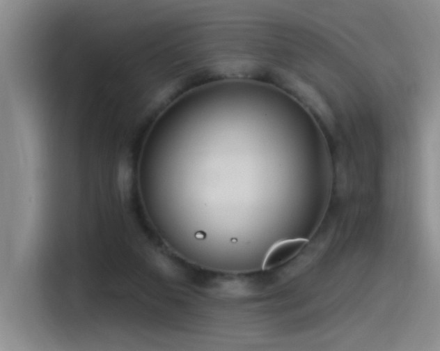 X0000115520113200911061425