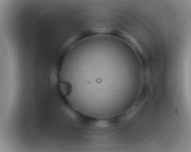 X0000115520114200911061425
