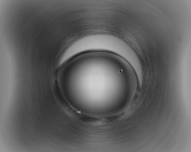X0000115520116200911061425