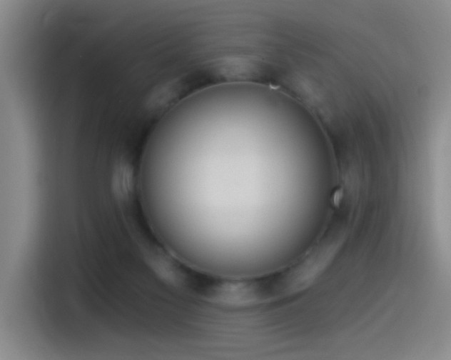 X0000115520117200911061425