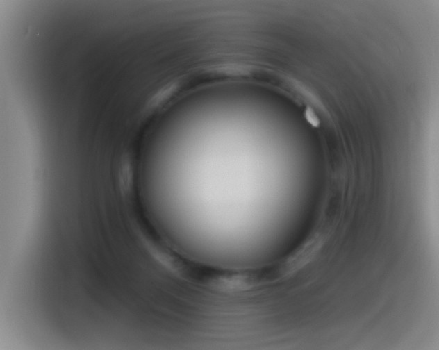X0000115520120200911061425