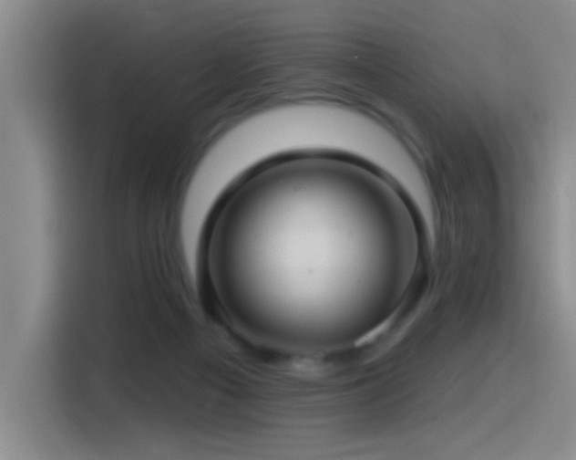 X0000115520121200911061425