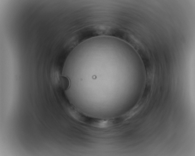 X0000115520130200911061425