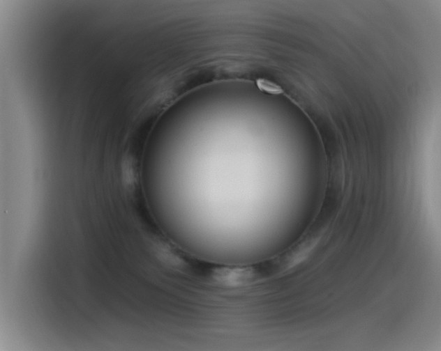 X0000115520135200911061425