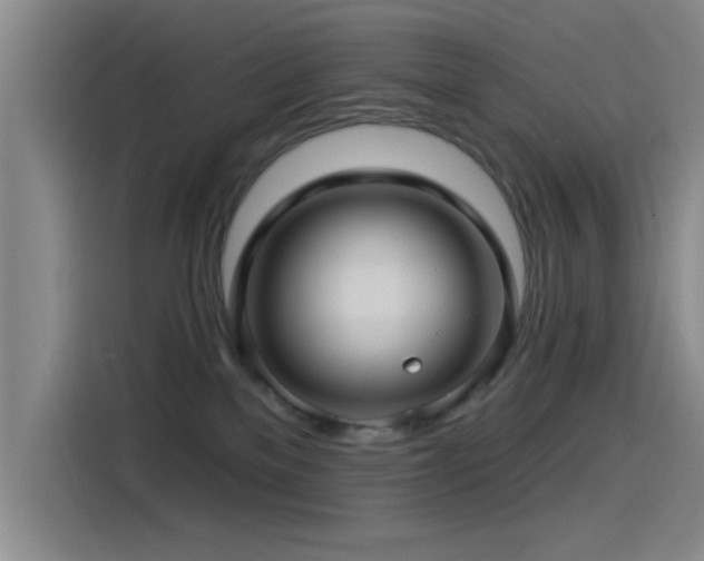 X0000115520137200911061425