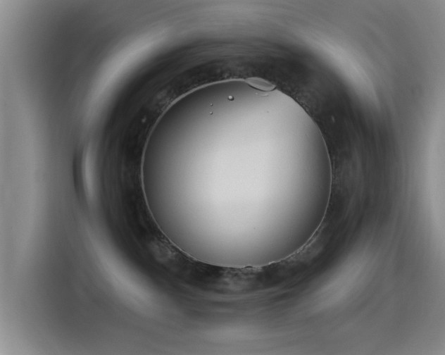 X0000115520140200911061425