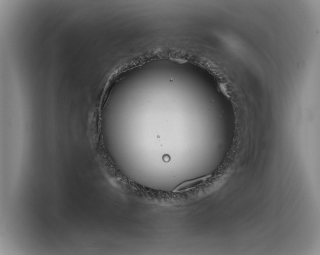 X0000115520144200911061425