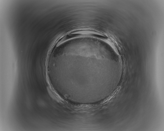 X0000115520145200911061424
