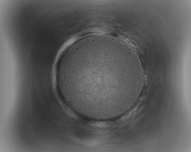 X0000115520149200911061424