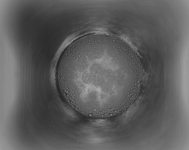 X0000115520151200911061424
