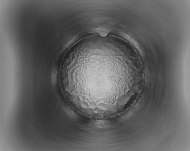 X0000115520153200911061424