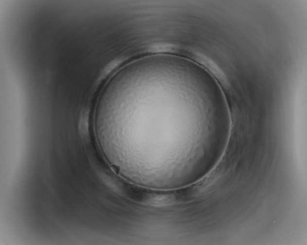 X0000115520155200911061424