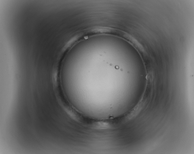 X0000115520159200911061424