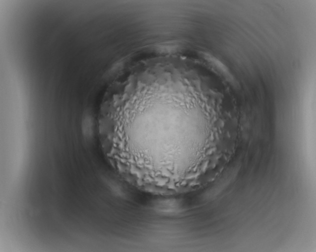X0000115520161200911061424