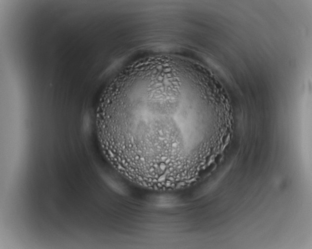 X0000115520165200911061424