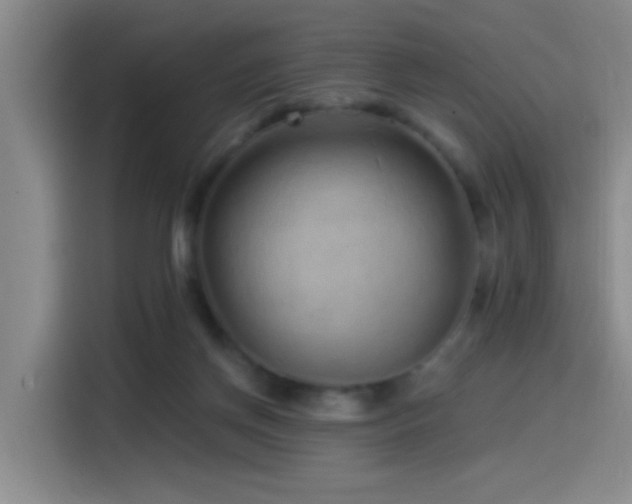 X0000115520166200911061424