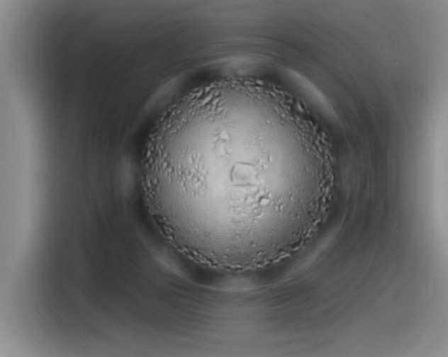 X0000115520169200911061424
