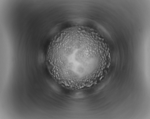 X0000115520173200911061424