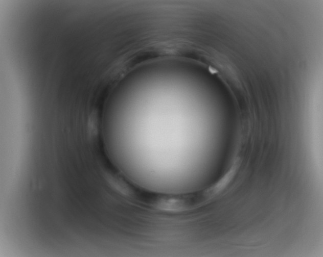 X0000115520174200911061424