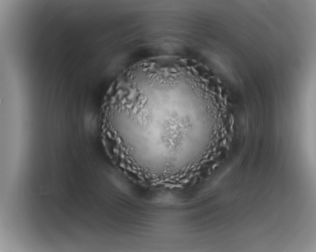 X0000115520177200911061424