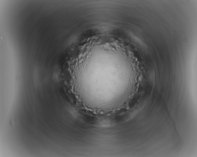 X0000115520181200911061424