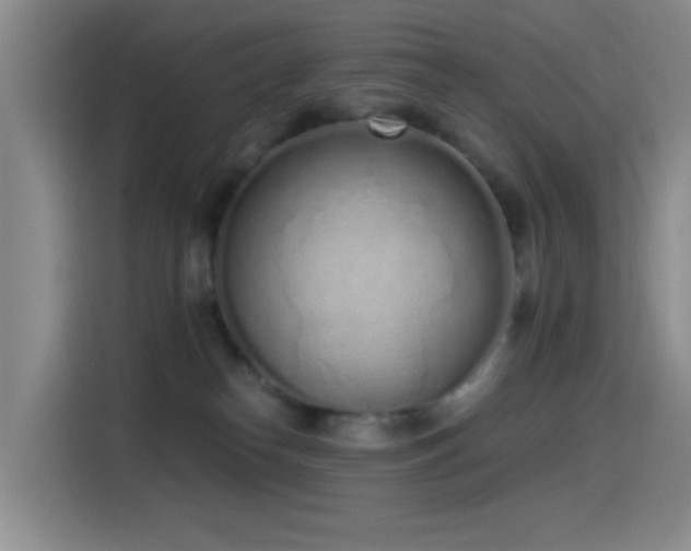 X0000115520182200911061424