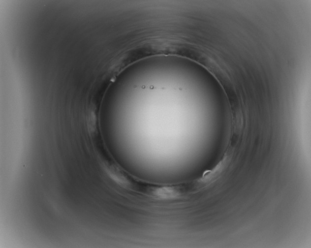 X0000115520183200911061424