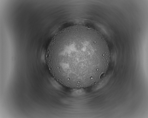 X0000115520185200911061425