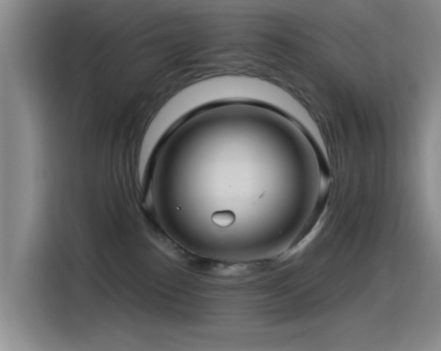 X0000115520186200911061425