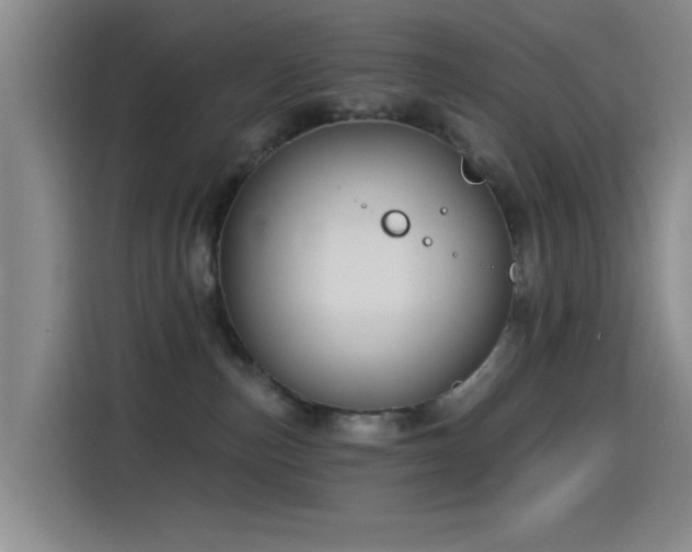 X0000115520187200911061425