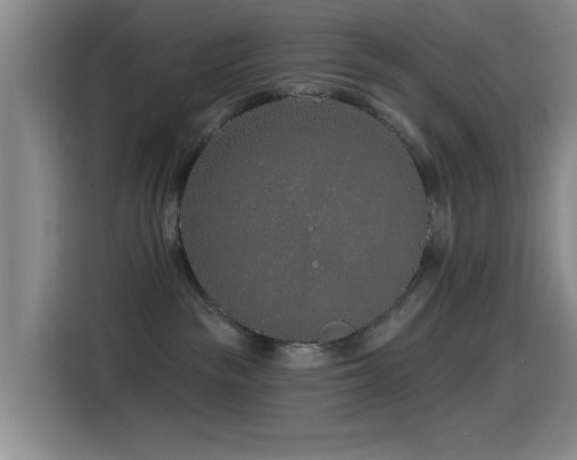 X0000115520189200911061425