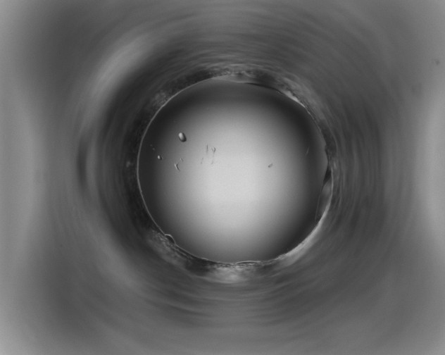 X0000115520190200911061425