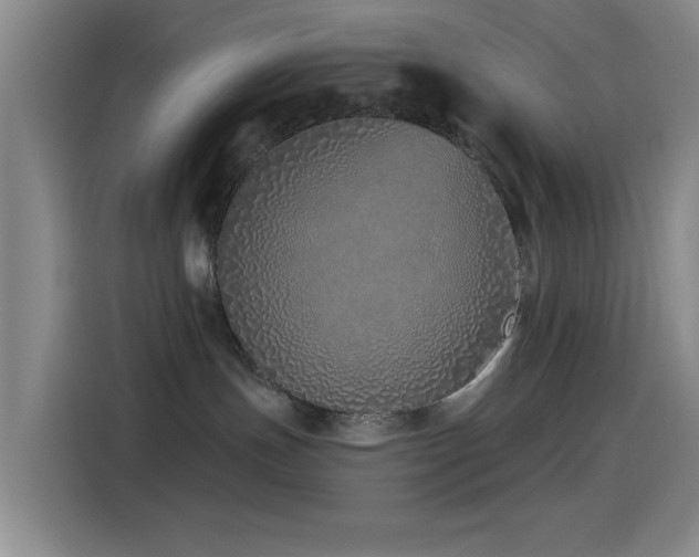 X0000115520191200911061425